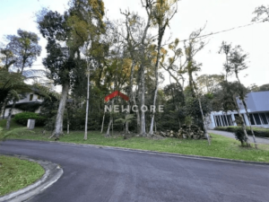 Lote em condomínio em Pref. Waldemar f. Weber - Condomínio O Bosque - Gramado/RS - Image 11