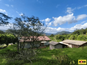 Terreno para Venda em Picada Café, São João - Image 6