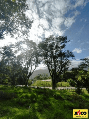Terreno para Venda em Picada Café, São João - Image 2