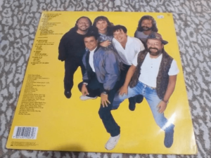 Fevers - A Gente Era Feliz E Não Sabia Lp Vinil. - Image 2