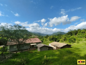 Terreno para Venda em Picada Café, São João - Image 5