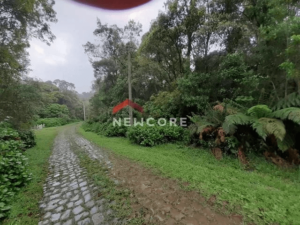 Lote em Rua 6 - Alpes - São Francisco de Paula/RS - Image 6