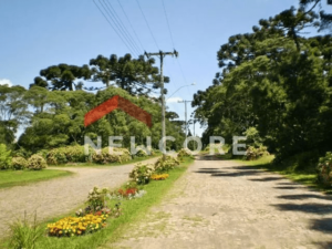 Lote em Rua 6 - Alpes - São Francisco de Paula/RS - Image 3
