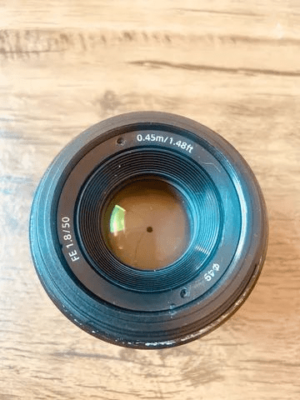 Lente - Image 6