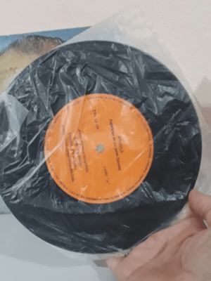 Long Play ( LP de vinil )antigo do candidato Leonel Brizola à Presidência - Image 5