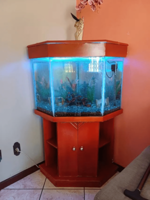Aquário com Móvel c/ Decorações e Compressor