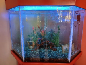 Aquário com Móvel c/ Decorações e Compressor - Image 3