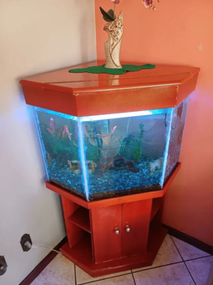 Aquário com Móvel c/ Decorações e Compressor - Image 2
