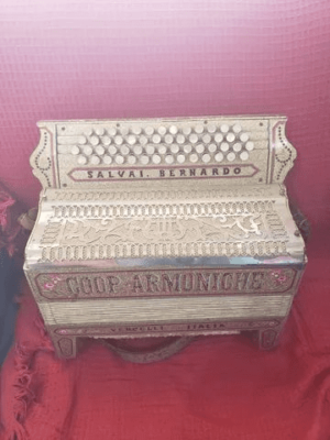 Acordeon Cooperative Harmonich 96 Baixos Italia