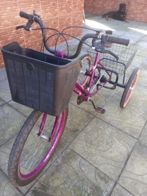 Bicicleta Triciclo Adulto